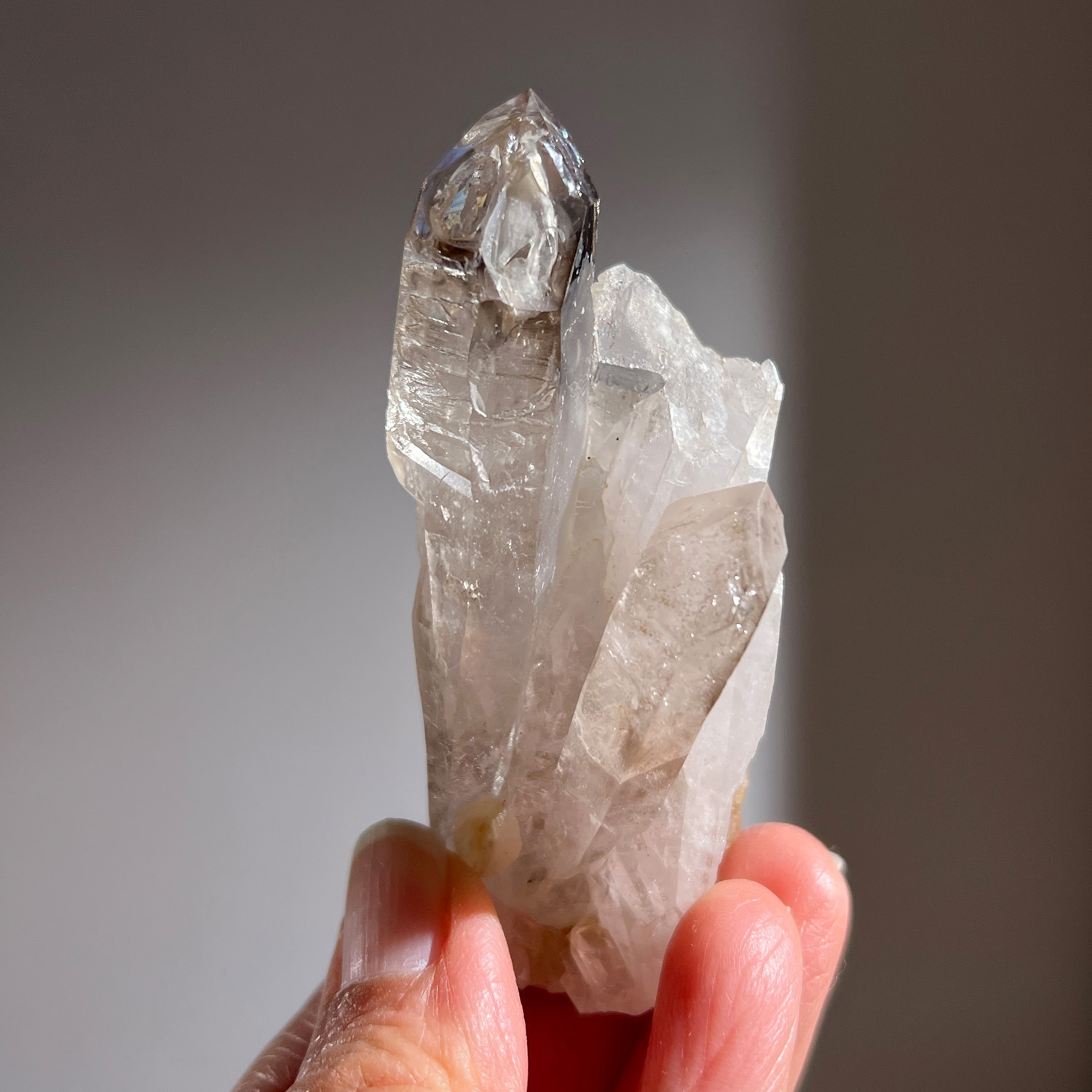 納米比亞-布蘭登堡窗型骸骨煙晶 54g (261-4)